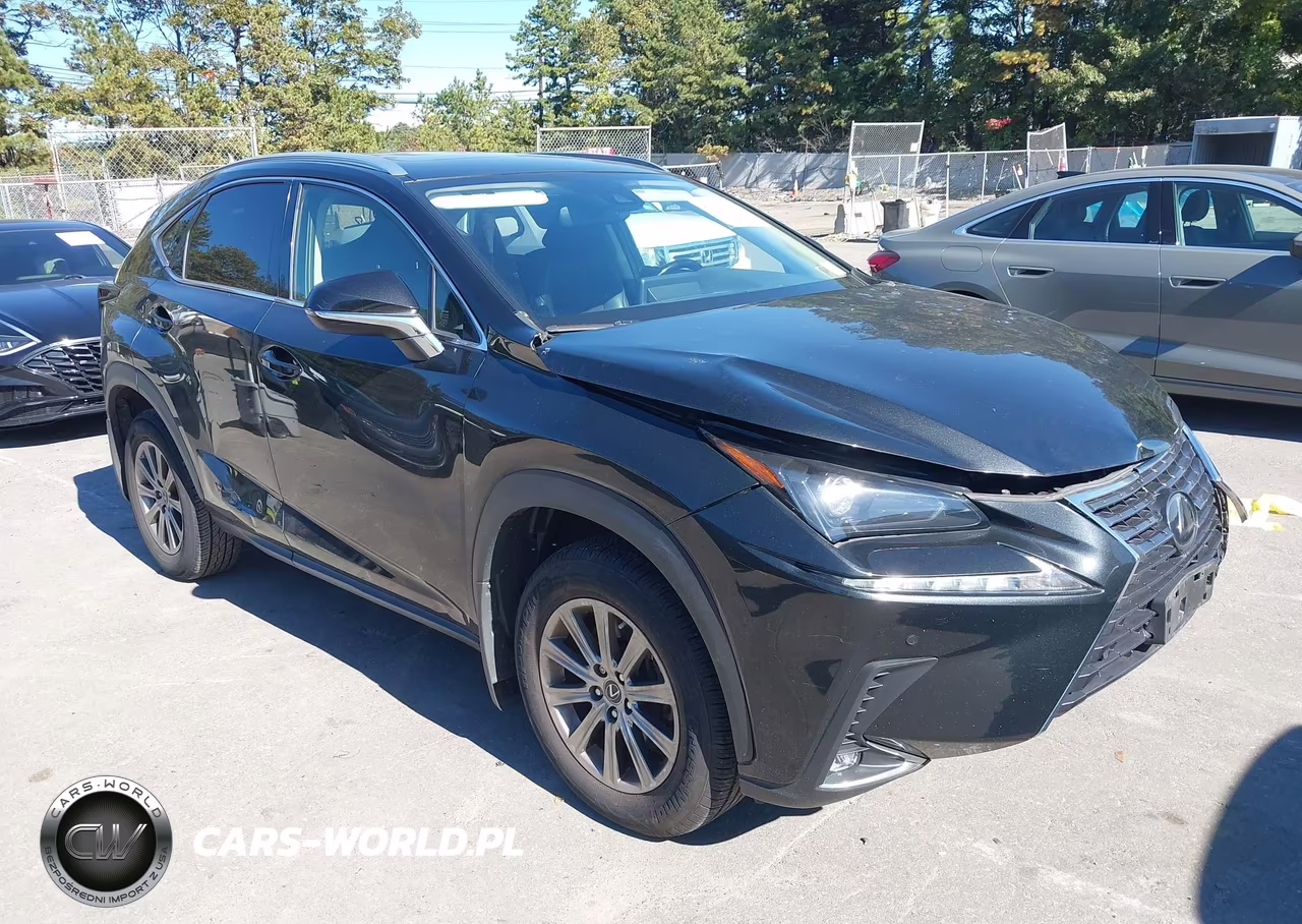 2020 Lexus Nx 300 VIN:JTJDARDZ1L2222354 - 1