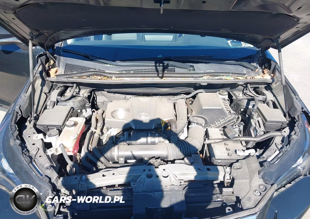 2020 Lexus Nx 300 VIN:JTJDARDZ1L2222354 - 10