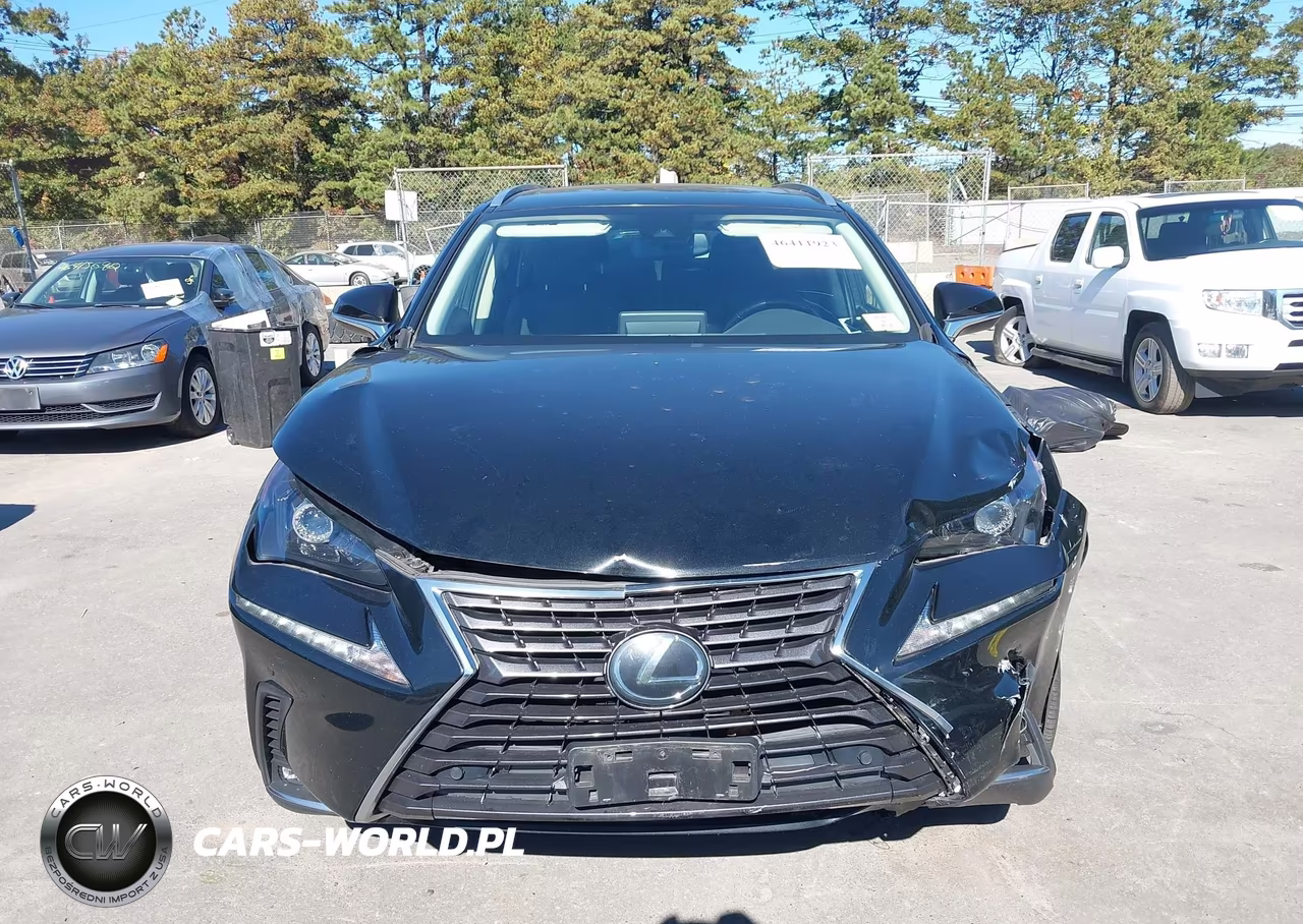 2020 Lexus Nx 300 VIN:JTJDARDZ1L2222354 - 12