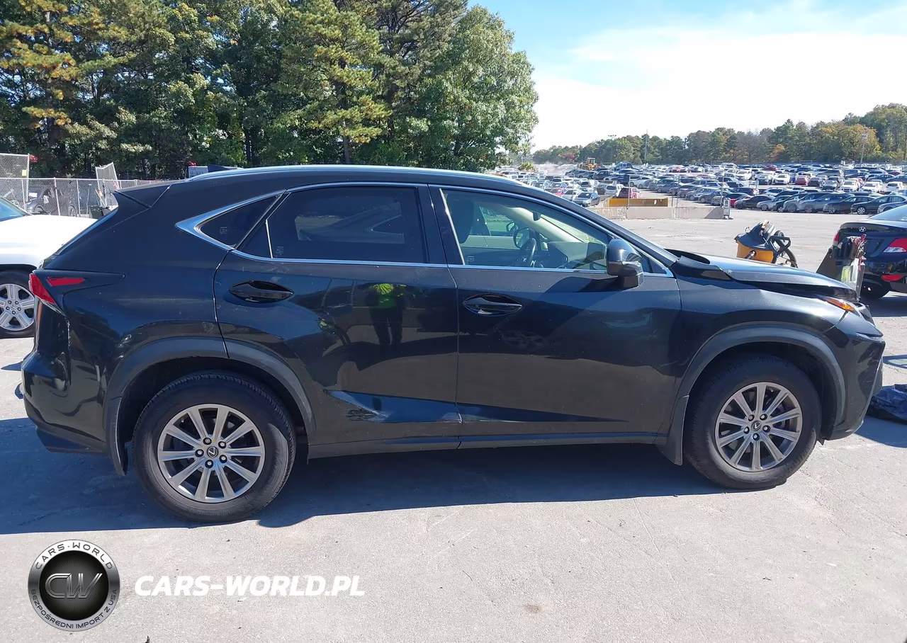 2020 Lexus Nx 300 VIN:JTJDARDZ1L2222354 - 13
