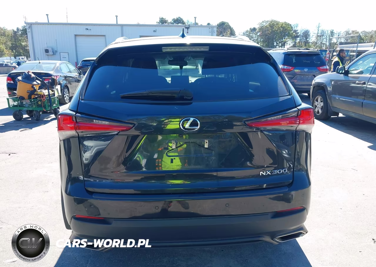 2020 Lexus Nx 300 VIN:JTJDARDZ1L2222354 - 16
