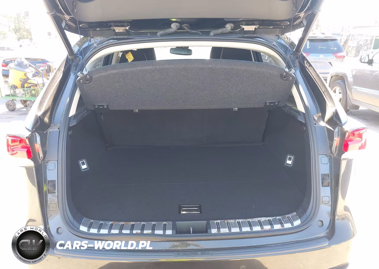 2020 Lexus Nx 300 VIN:JTJDARDZ1L2222354 - 18