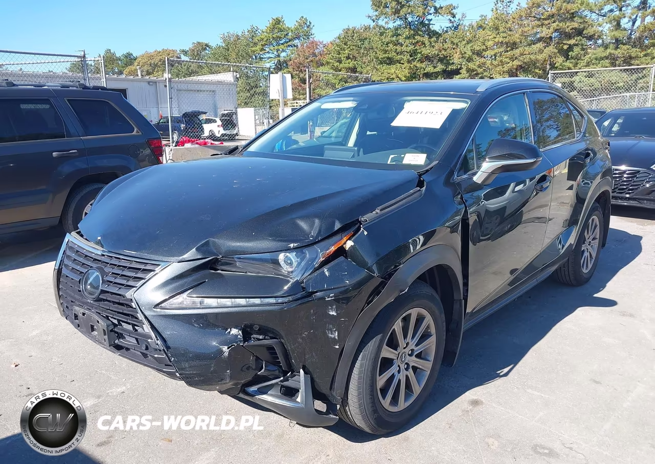 2020 Lexus Nx 300 VIN:JTJDARDZ1L2222354 - 2