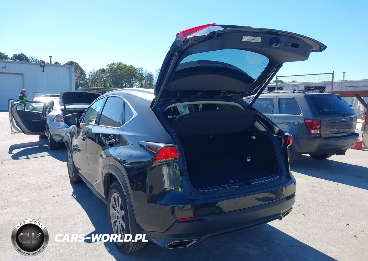 2020 Lexus Nx 300 VIN:JTJDARDZ1L2222354 - 3