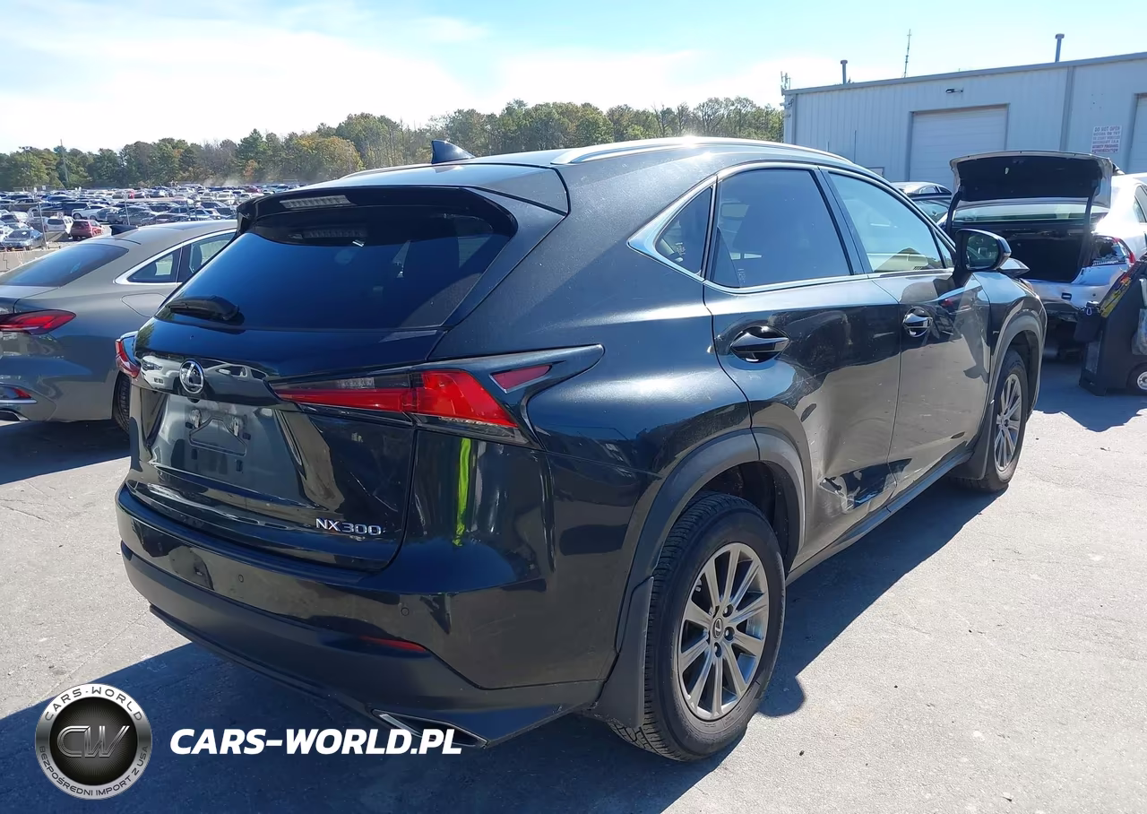 2020 Lexus Nx 300 VIN:JTJDARDZ1L2222354 - 4
