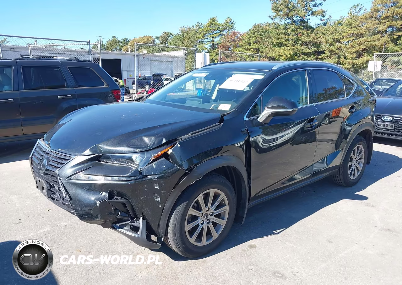 2020 Lexus Nx 300 VIN:JTJDARDZ1L2222354 - 6