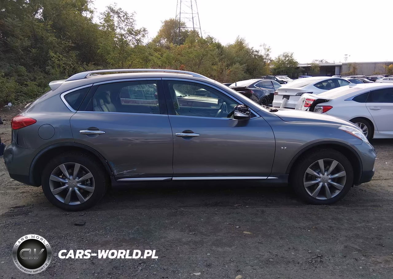 2017 Infiniti Qx50 VIN:JN1BJ0RR5HM415538 - 13