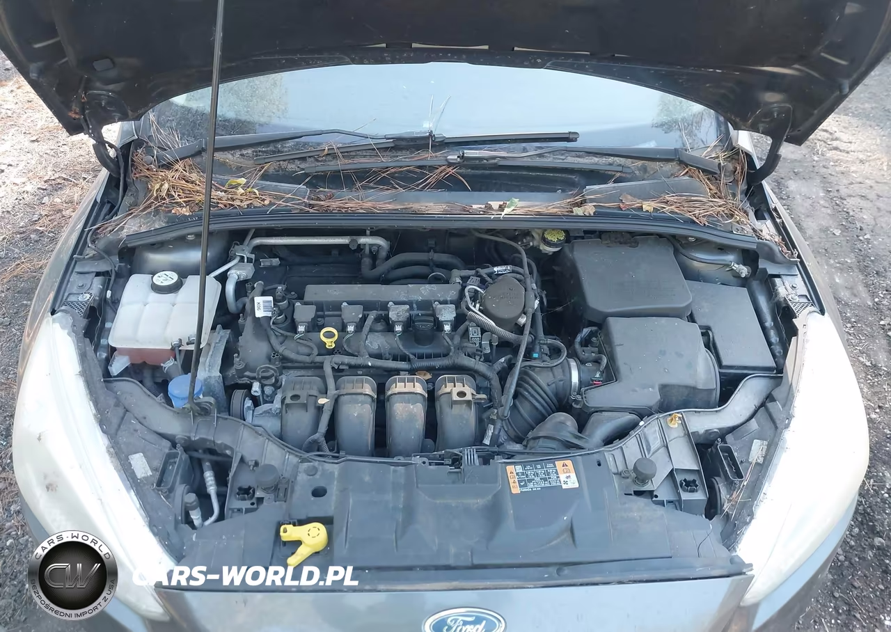 2015 Ford Focus Se VIN:1FADP3F21FL215505 - 10