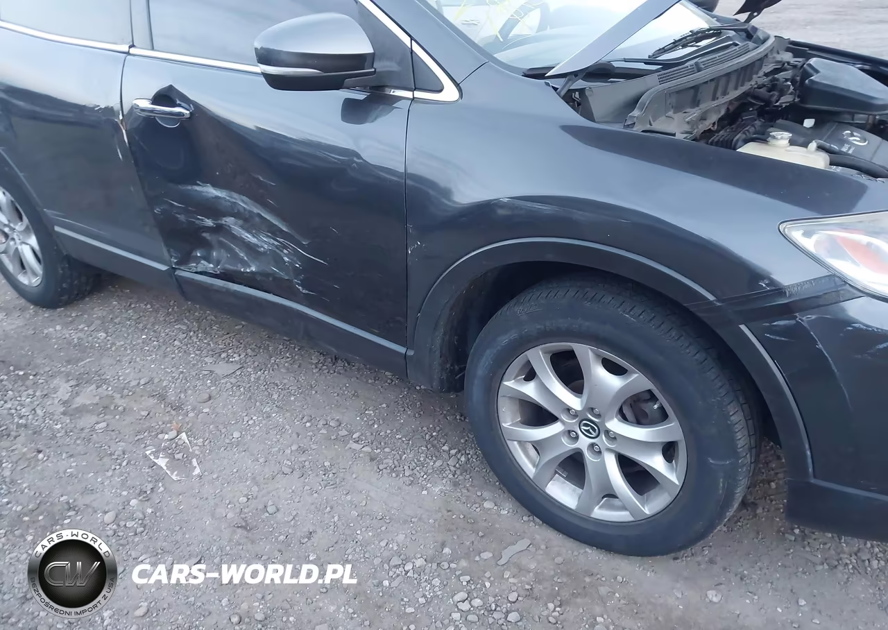 2015 Mazda Cx-9 Touring VIN:JM3TB3CV5F0464160 - 6