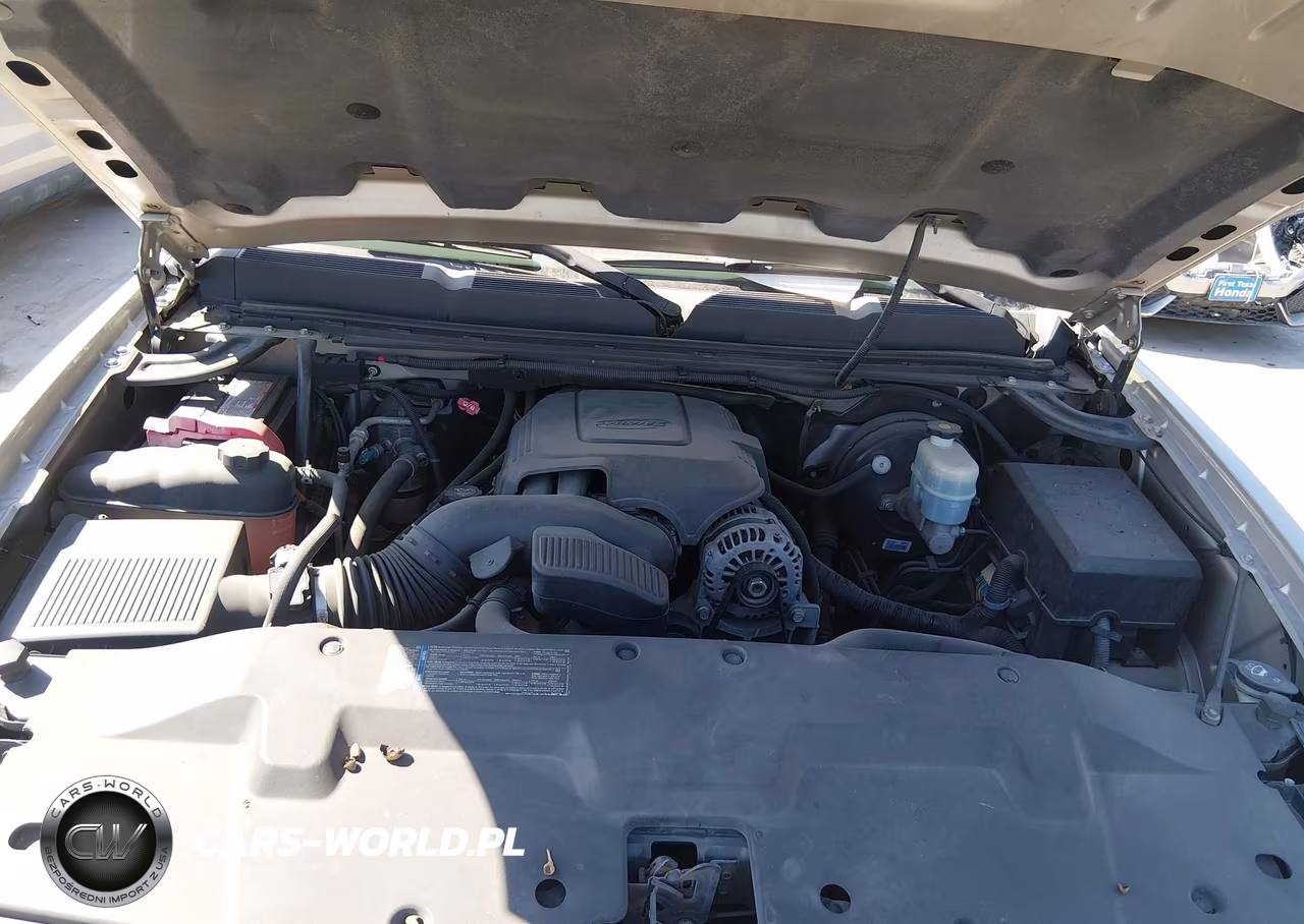 2009 Chevrolet Silverado 1500 Lt VIN:1GCEC29J59Z208064 - 10