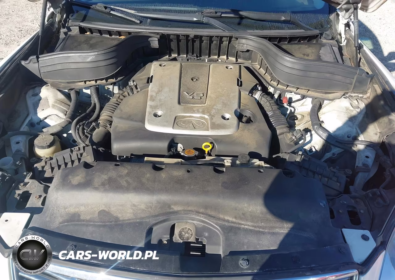 2008 Infiniti Ex35 Journey VIN:JNKAJ09E58M301141 - 10