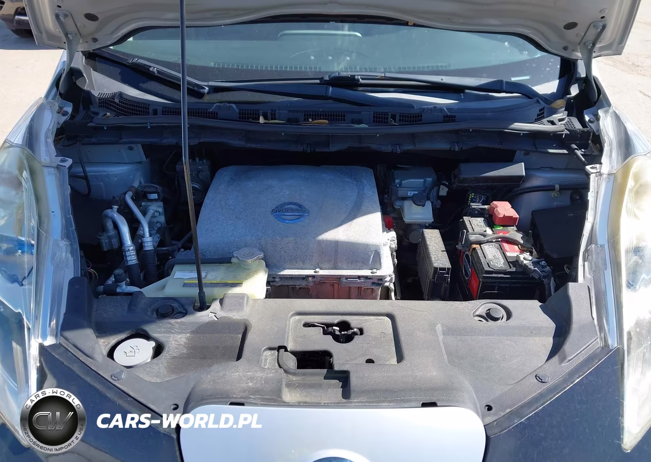 2014 Nissan Leaf Sl VIN:1N4AZ0CP2EC335713 - 10