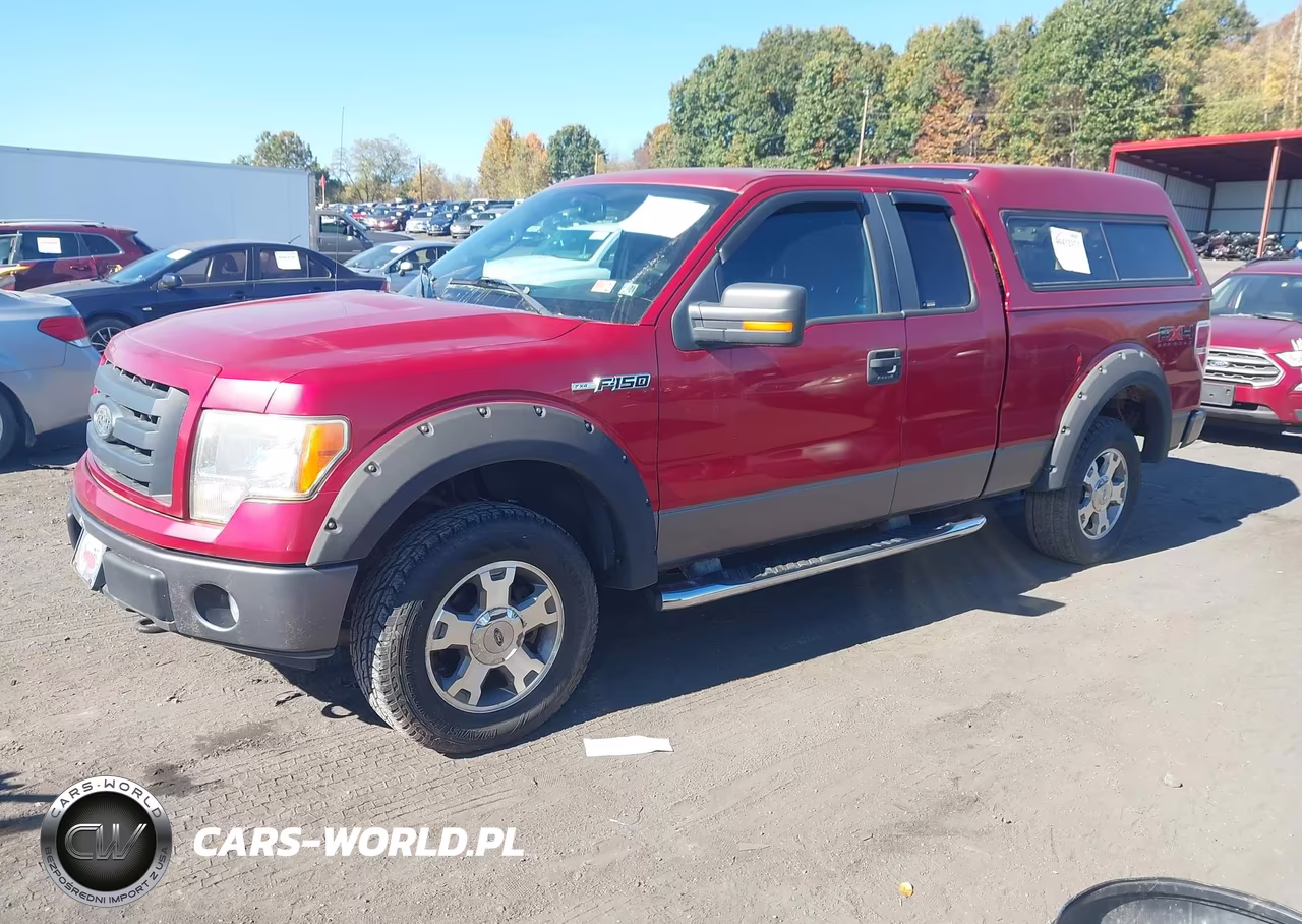 2009 Ford F-150 Fx4-Lariat-Xl-Xlt VIN:1FTPX14V89KA69011 - 2