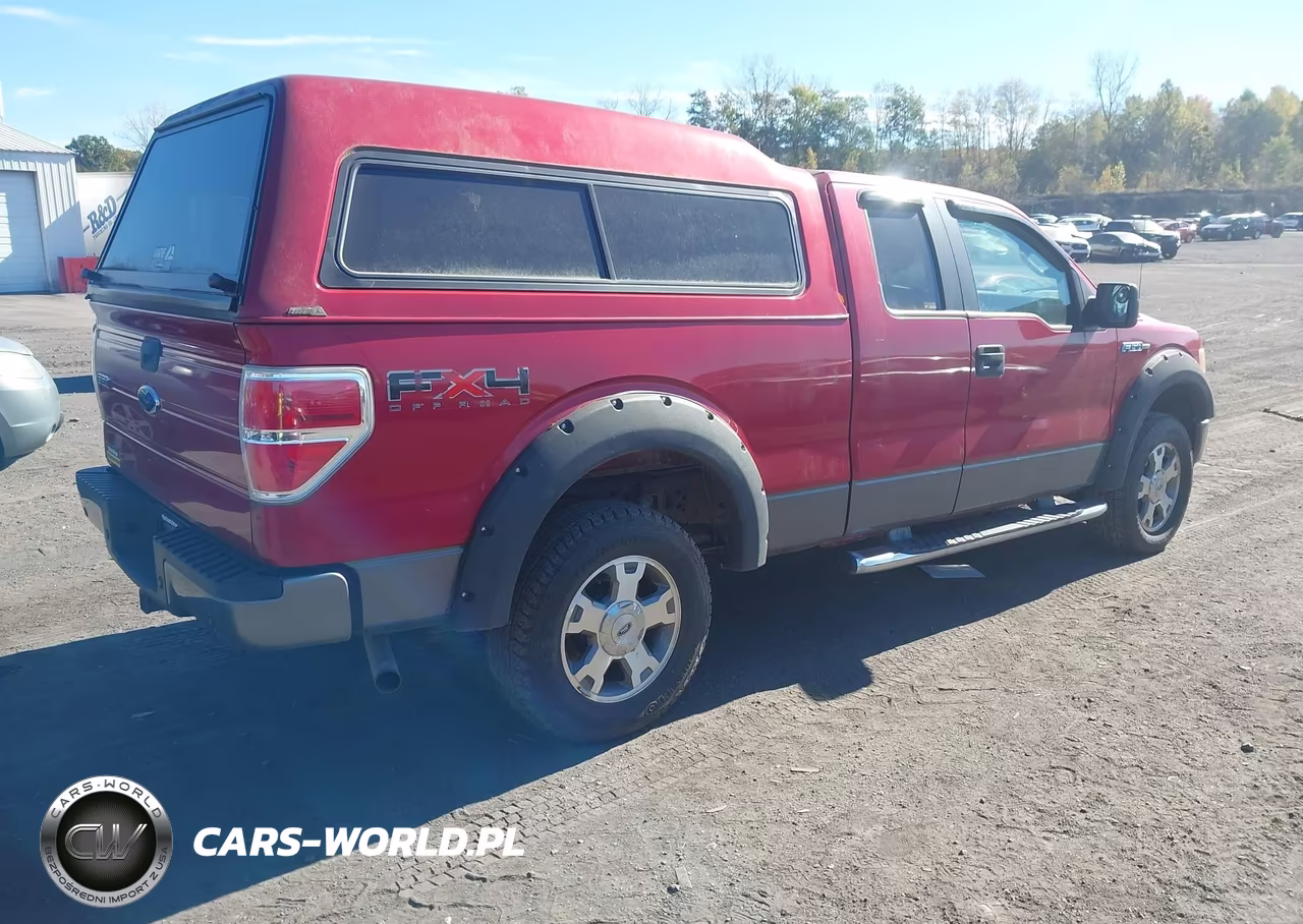 2009 Ford F-150 Fx4-Lariat-Xl-Xlt VIN:1FTPX14V89KA69011 - 4