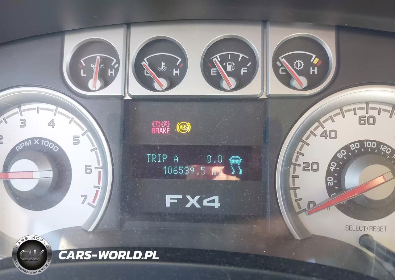 2009 Ford F-150 Fx4-Lariat-Xl-Xlt VIN:1FTPX14V89KA69011 - 7