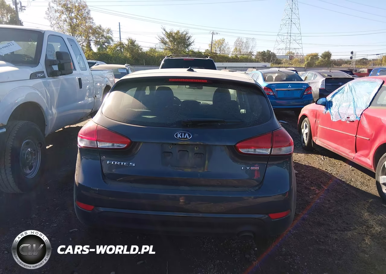 2016 Kia Forte Ex VIN:KNAFX5A88G5628874 - 16