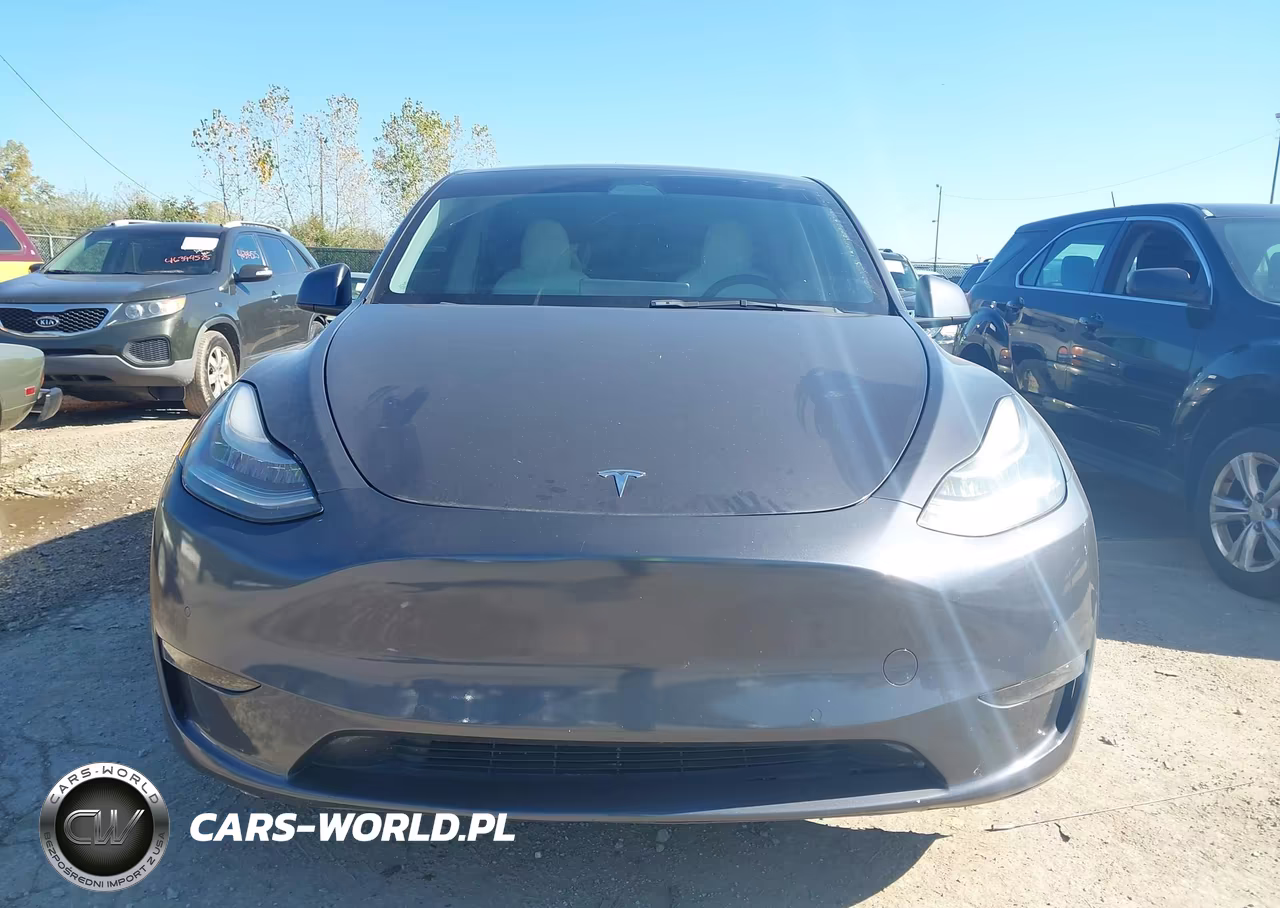 2021 Tesla Model Y Long Range Dual Motor All-Wheel Drive VIN:5YJYGDEE3MF198638 - 12
