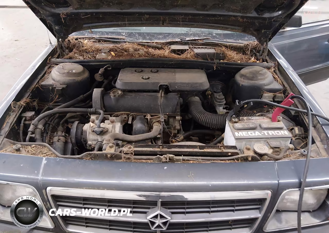 1987 Dodge Aries Le VIN:1B3BD36D5HF172995 - 10
