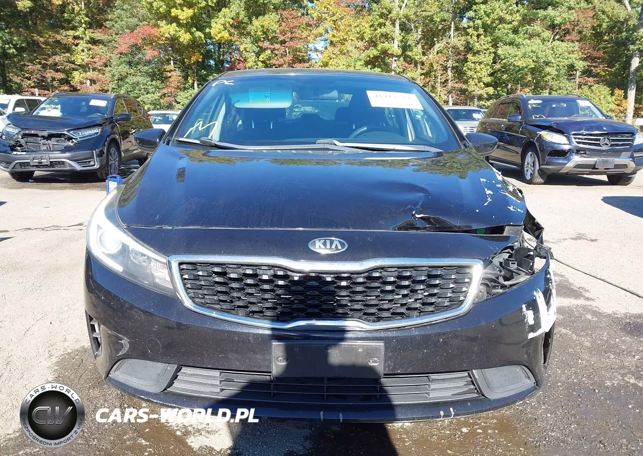 2018 Kia Forte Lx VIN:3KPFK4A75JE274603 - 12