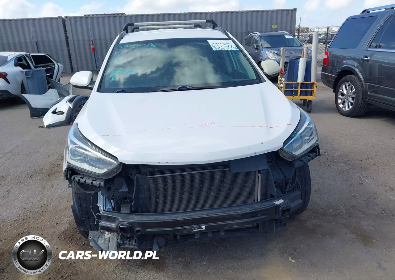 2017 Hyundai Santa Fe Se VIN:KM8SM4HFXHU246003 - 13