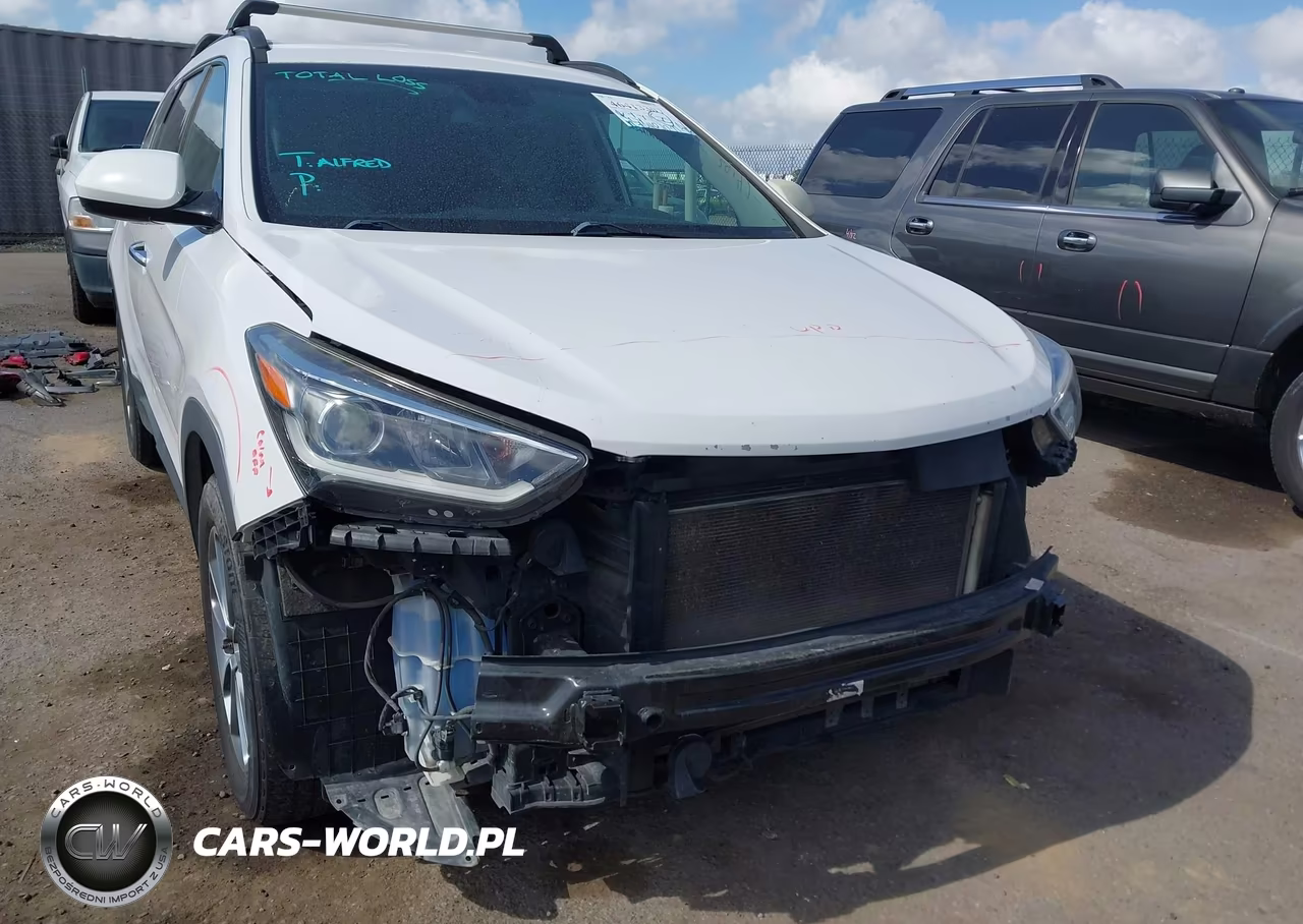 2017 Hyundai Santa Fe Se VIN:KM8SM4HFXHU246003 - 20
