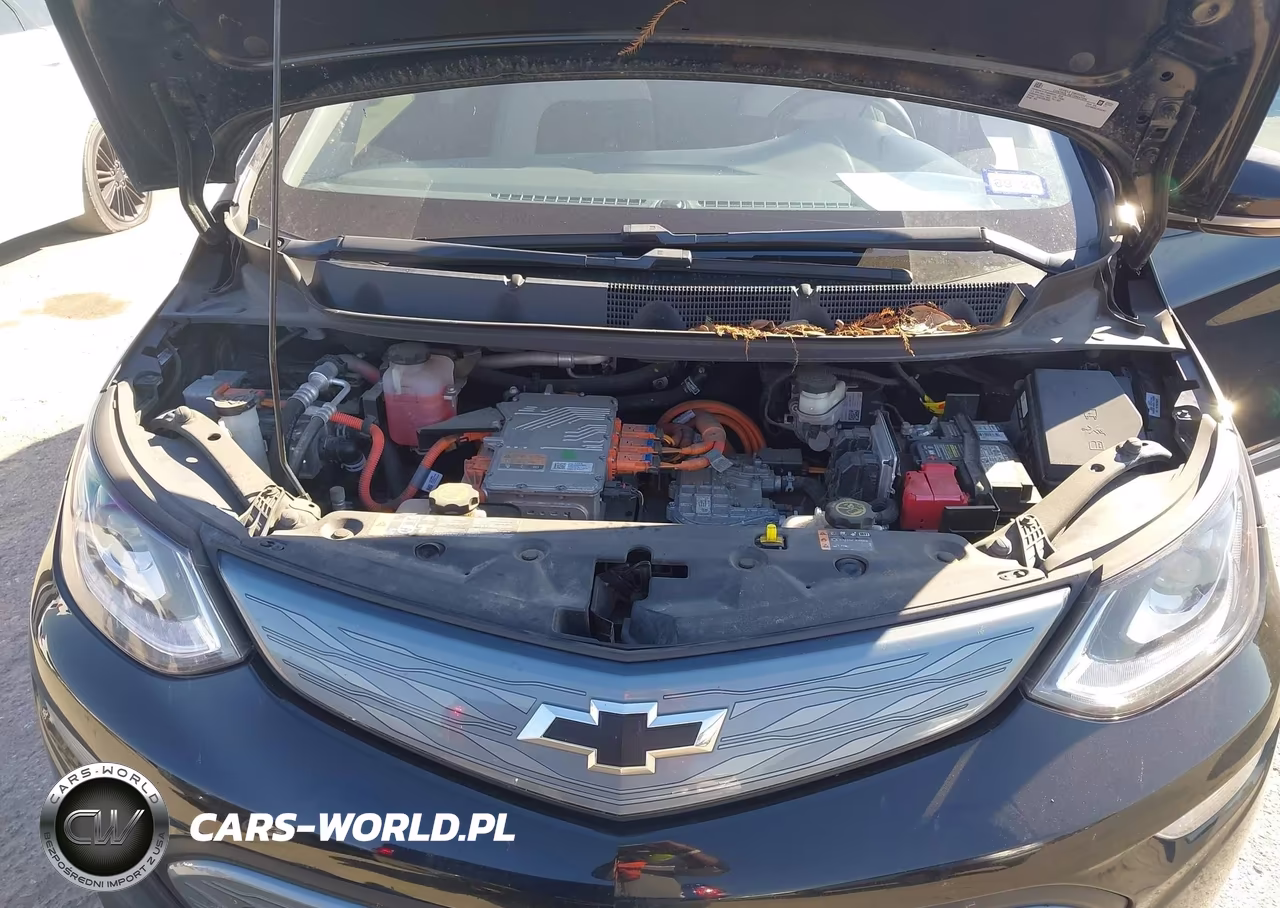 2018 Chevrolet Bolt Ev Lt VIN:1G1FW6S01J4115363 - 10