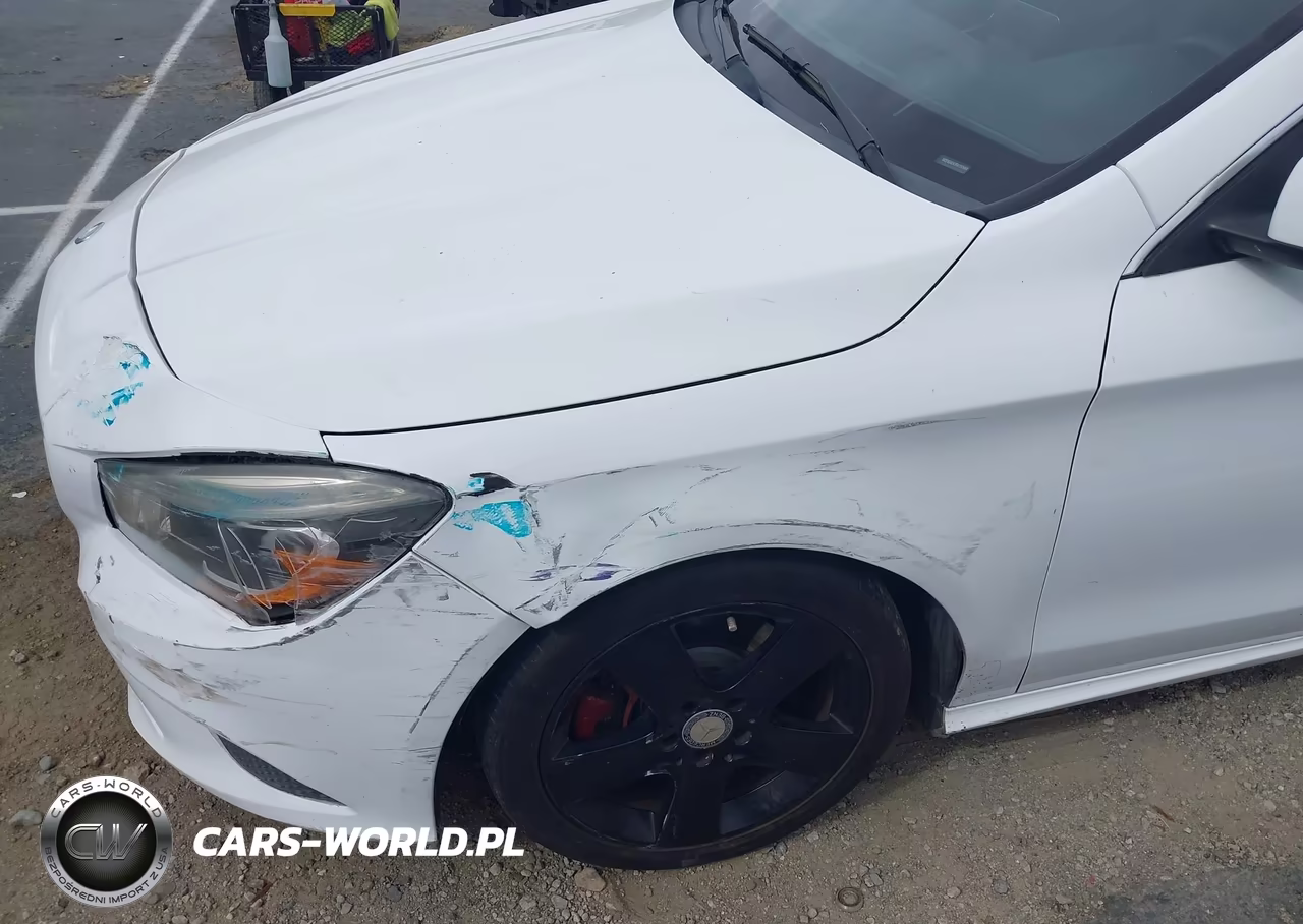 2015 Mercedes-Benz Cla 250 VIN:WDDSJ4EB3FN192684 - 12