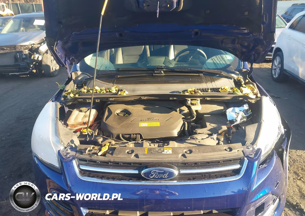 2013 Ford Escape Sel VIN:1FMCU0HX8DUA83495 - 10
