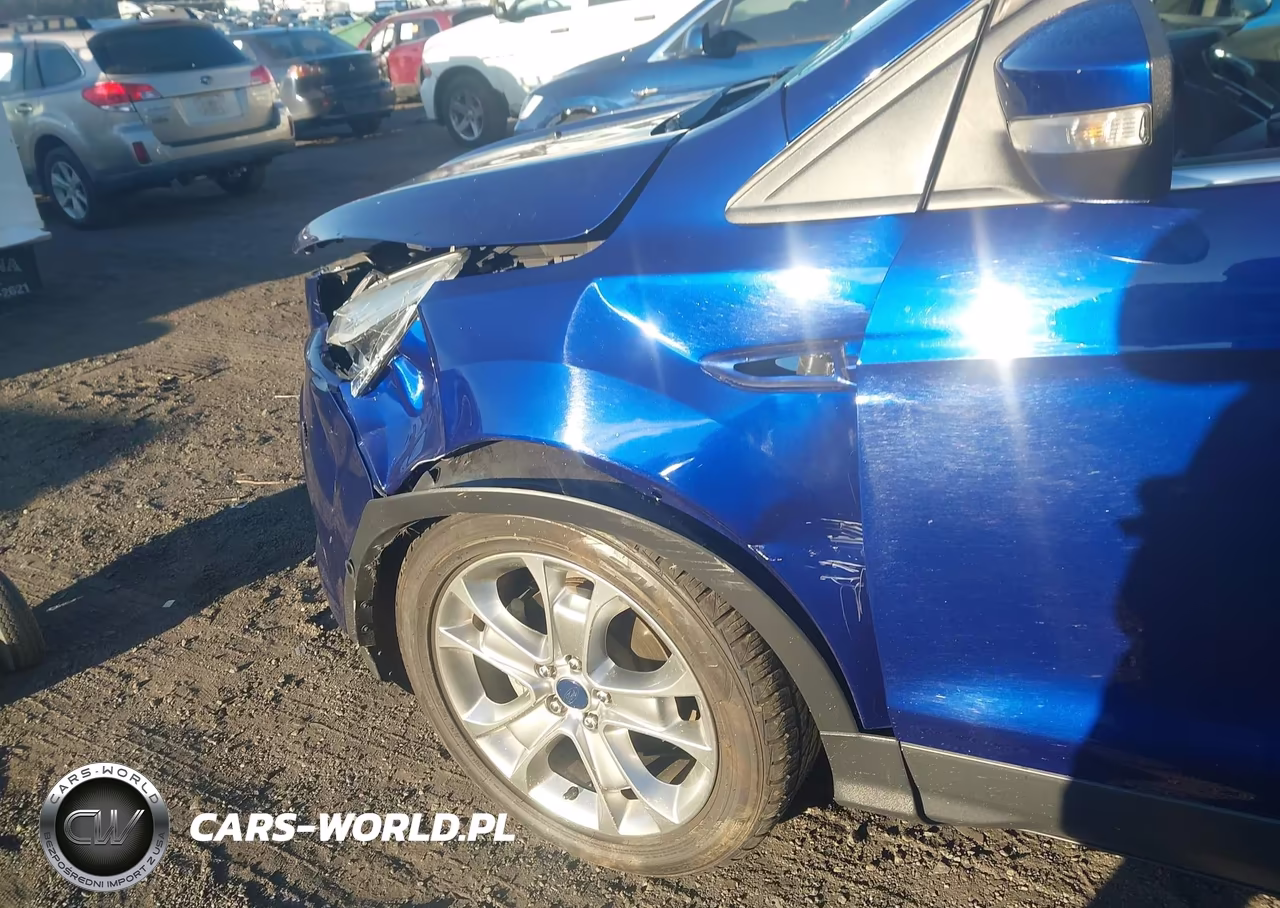 2013 Ford Escape Sel VIN:1FMCU0HX8DUA83495 - 12