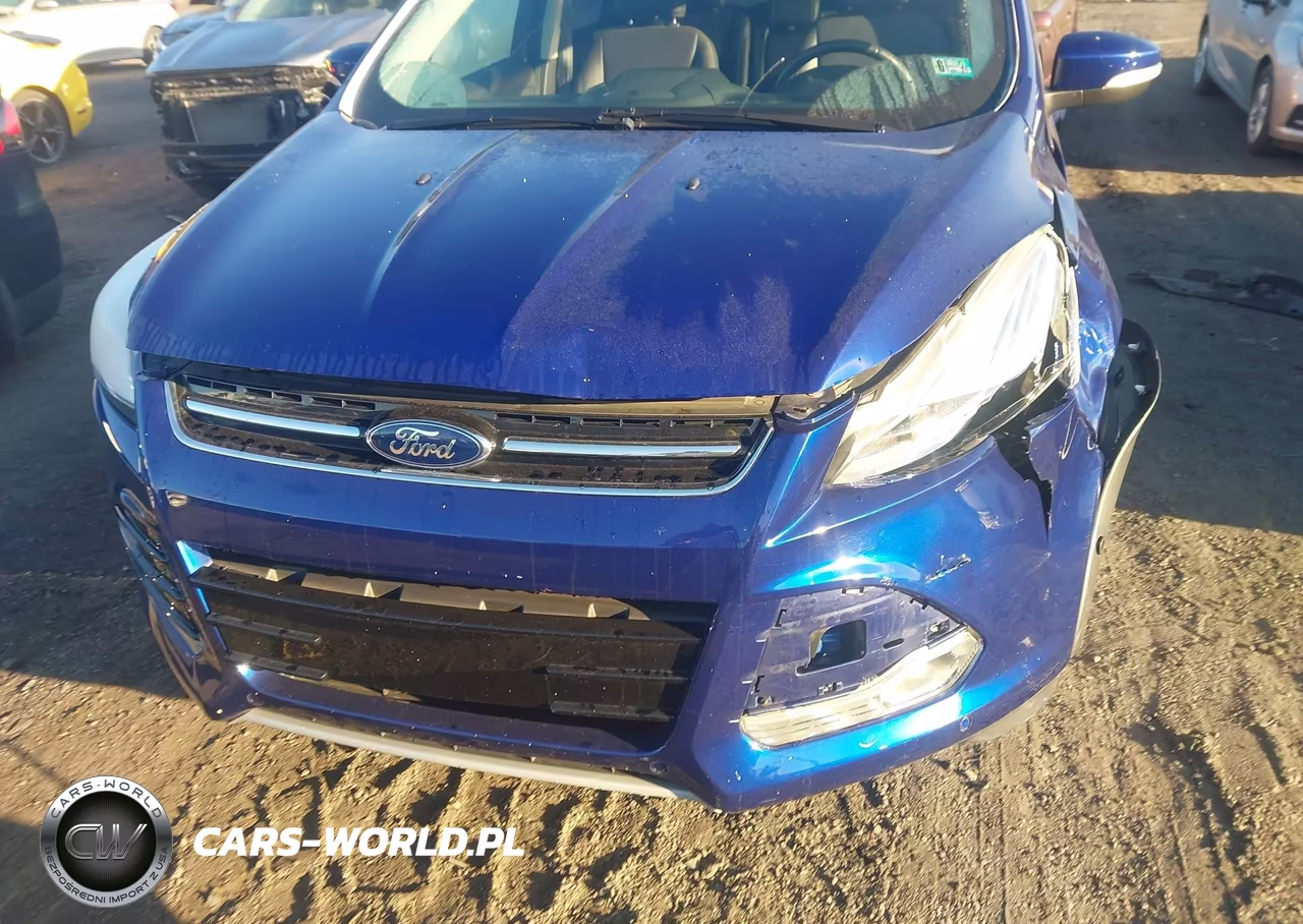 2013 Ford Escape Sel VIN:1FMCU0HX8DUA83495 - 13