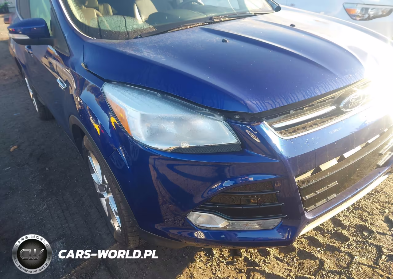 2013 Ford Escape Sel VIN:1FMCU0HX8DUA83495 - 14