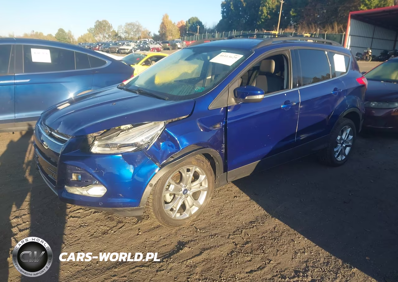 2013 Ford Escape Sel VIN:1FMCU0HX8DUA83495 - 2