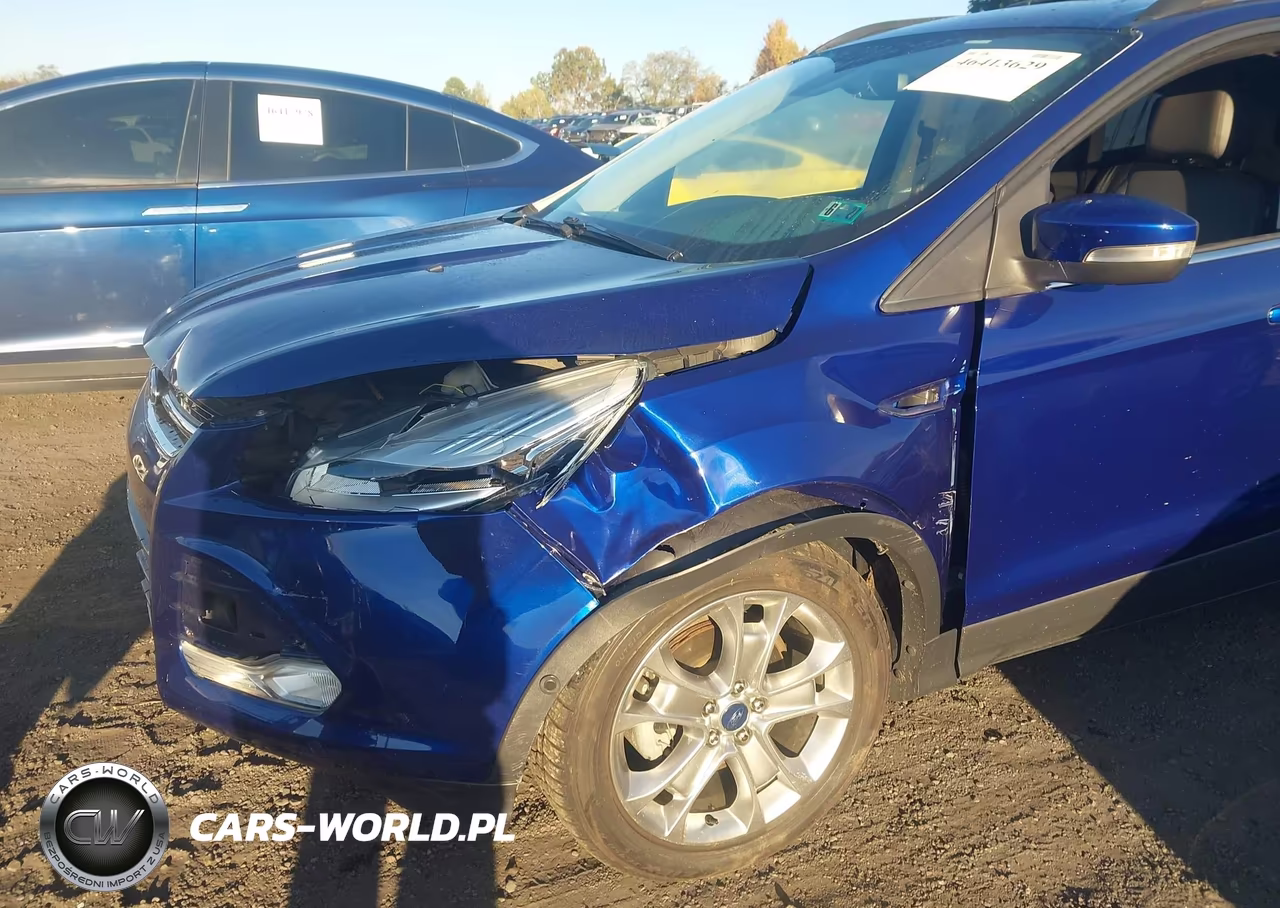 2013 Ford Escape Sel VIN:1FMCU0HX8DUA83495 - 6
