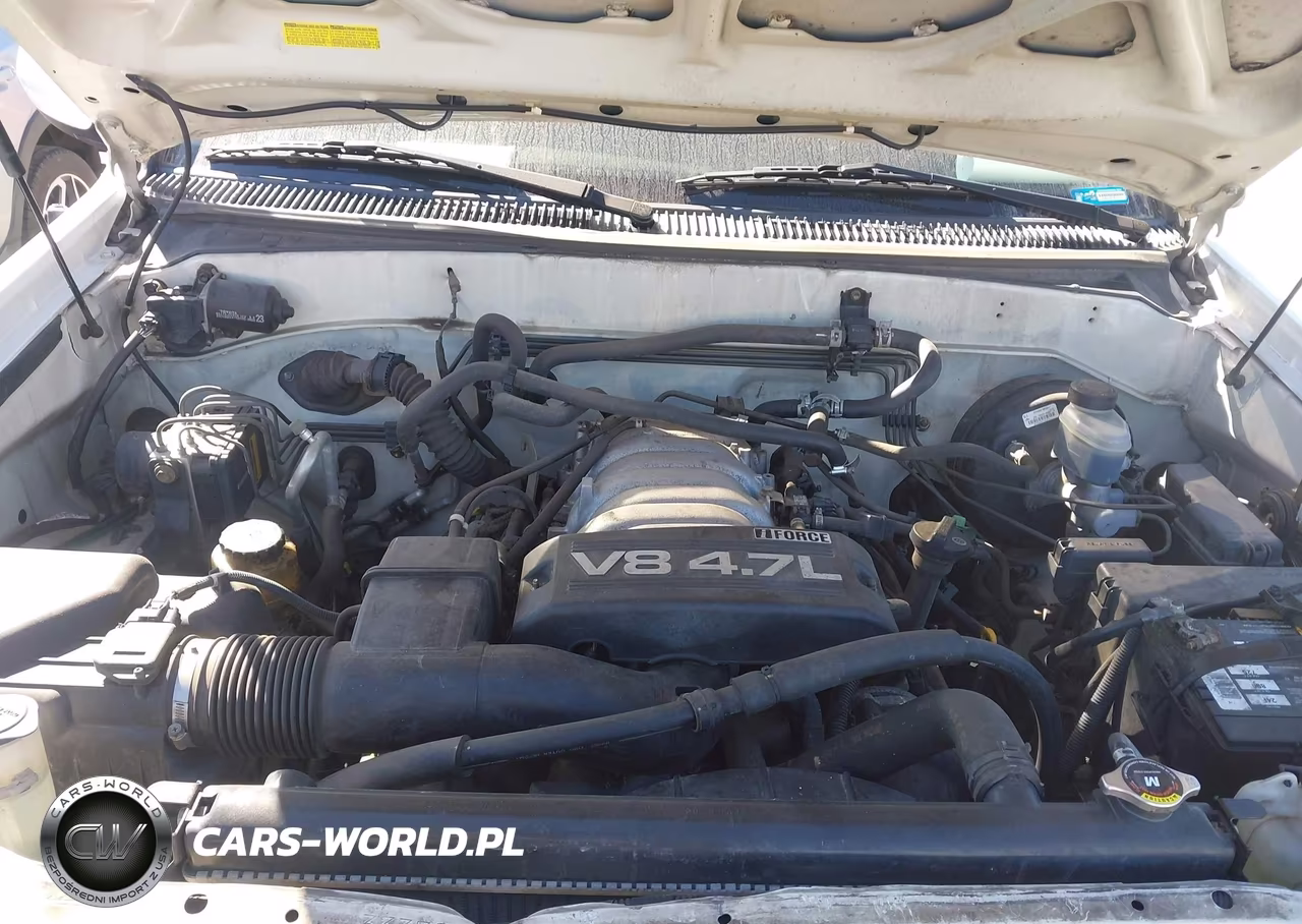 2003 Toyota Sequoia Sr5 V8 VIN:5TDZT34A93S198047 - 10