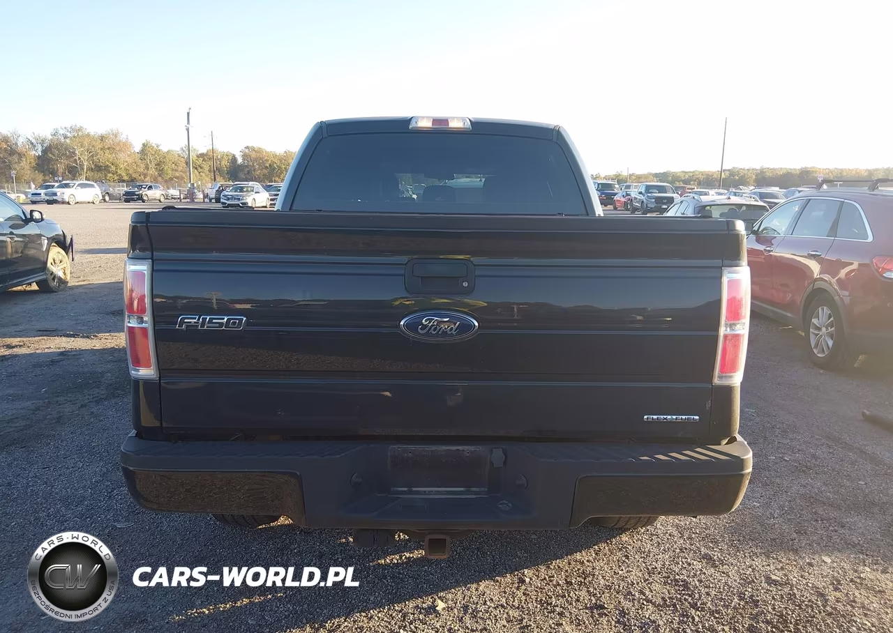 2014 Ford F-150 Stx VIN:1FTFW1EF0EFB37052 - 17