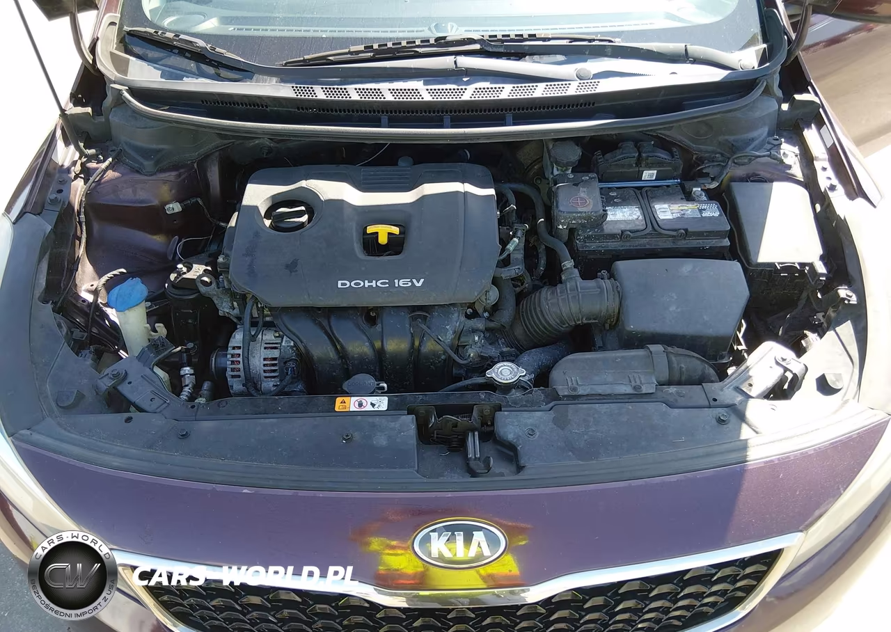 2017 Kia Forte Lx VIN:3KPFK4A77HE114717 - 10
