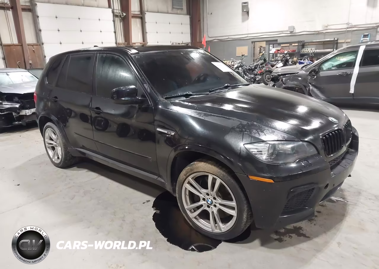 2010 BMW X5 M – zdjęcie 1 z 18
