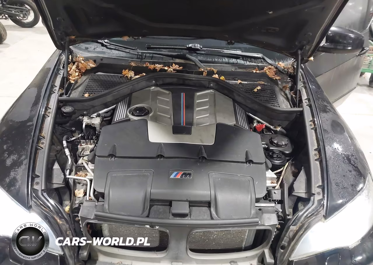 2010 BMW X5 M VIN:5YMGY0C53ALK25552 - 10