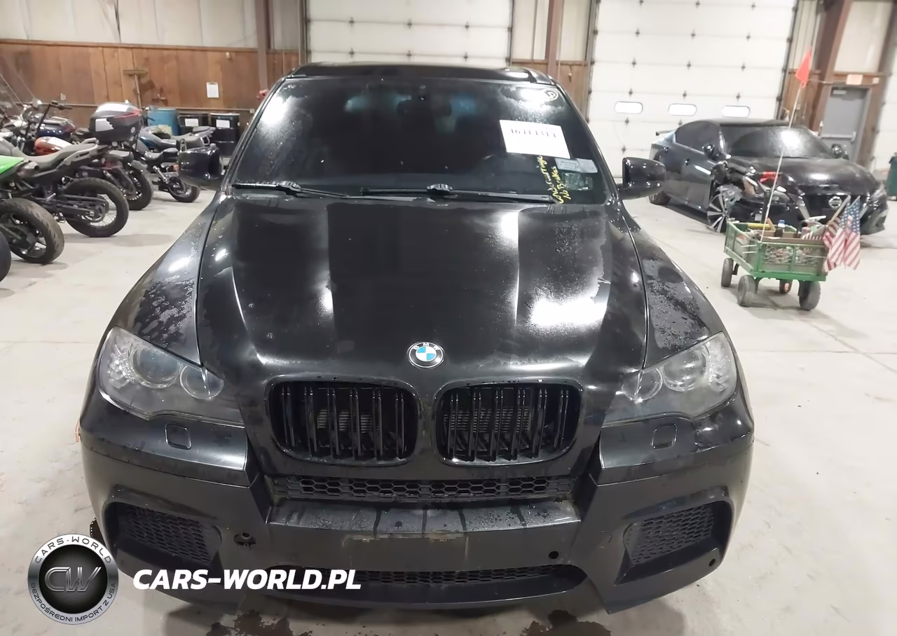 2010 BMW X5 M VIN:5YMGY0C53ALK25552 - 12
