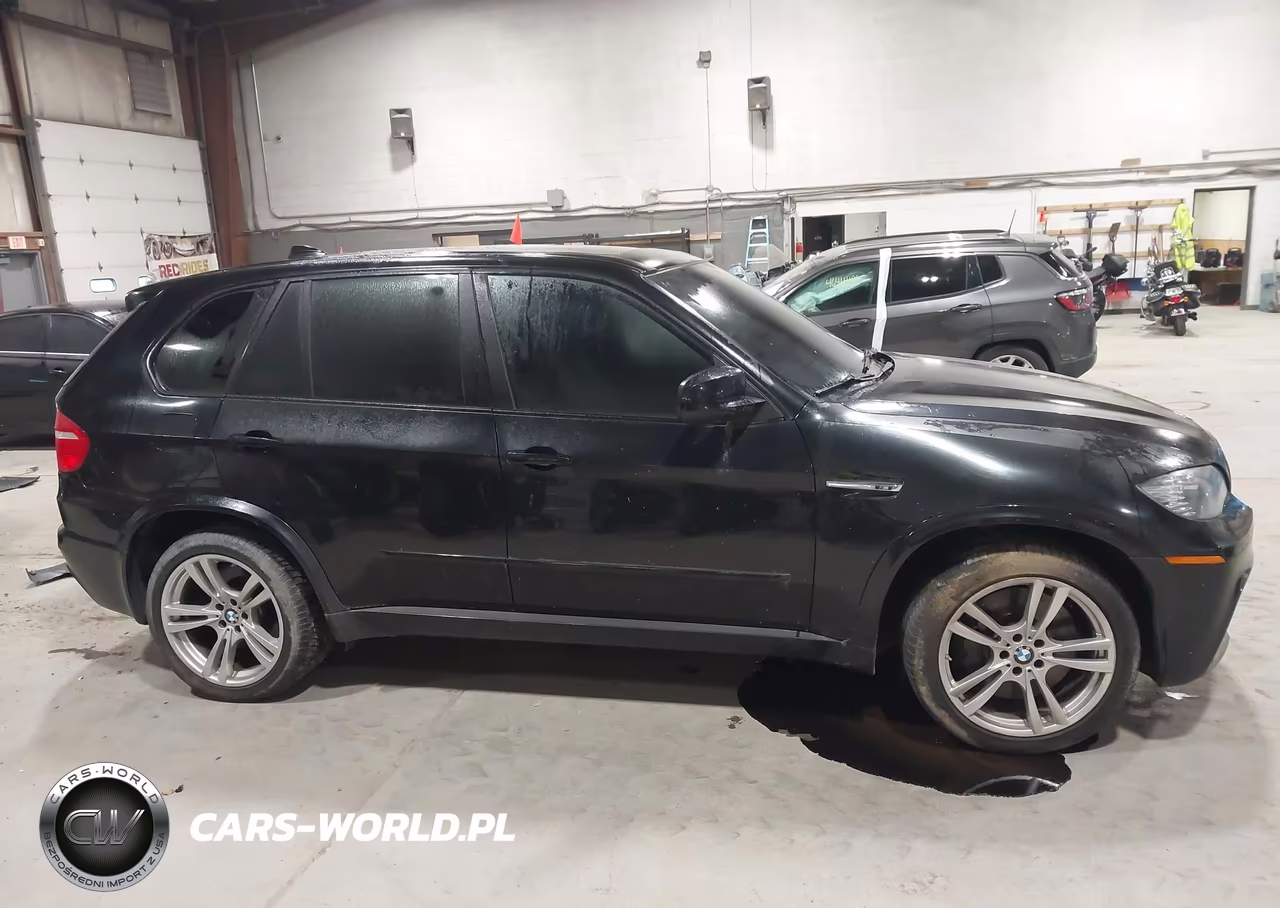 2010 BMW X5 M VIN:5YMGY0C53ALK25552 - 13