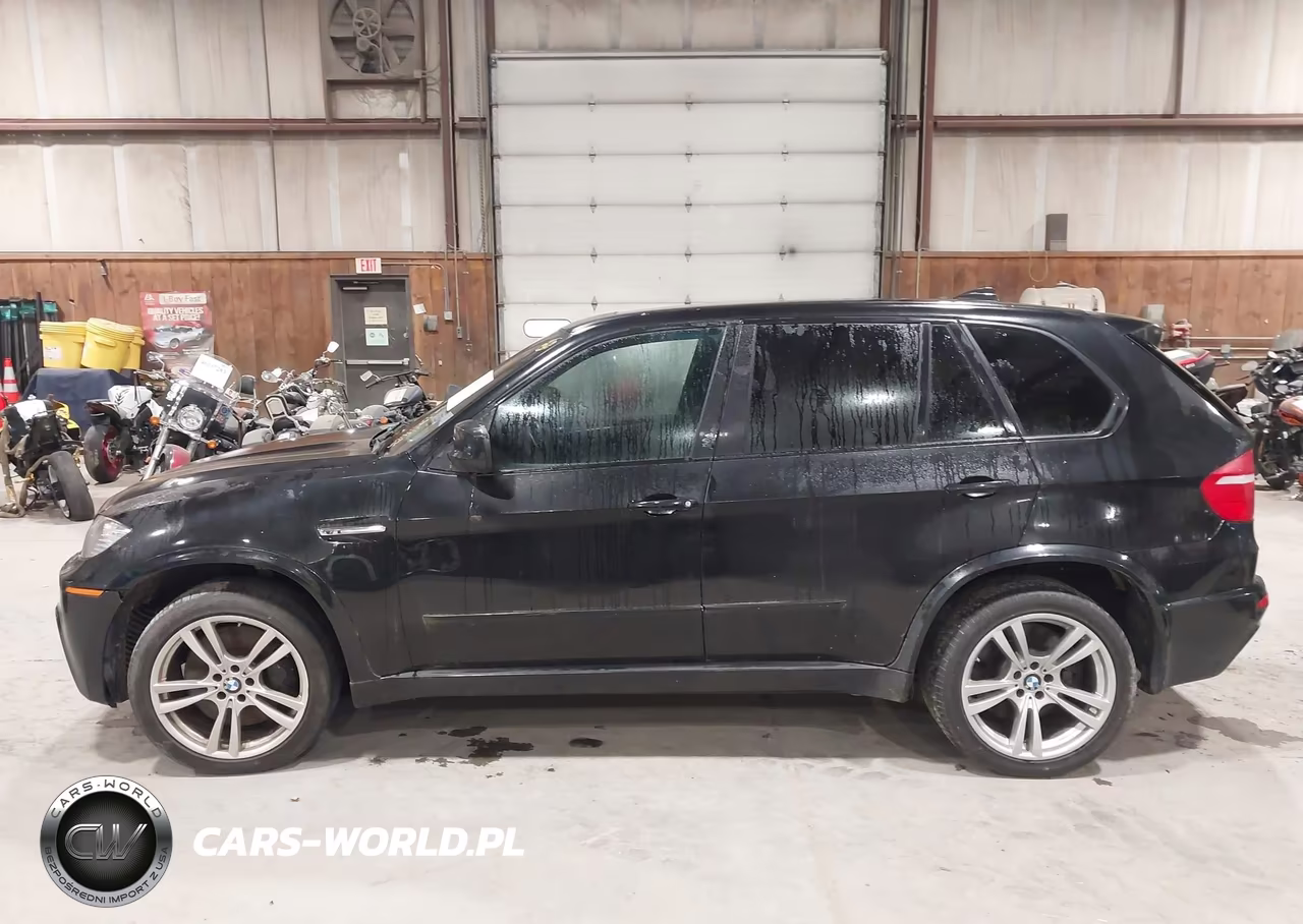 2010 BMW X5 M VIN:5YMGY0C53ALK25552 - 14