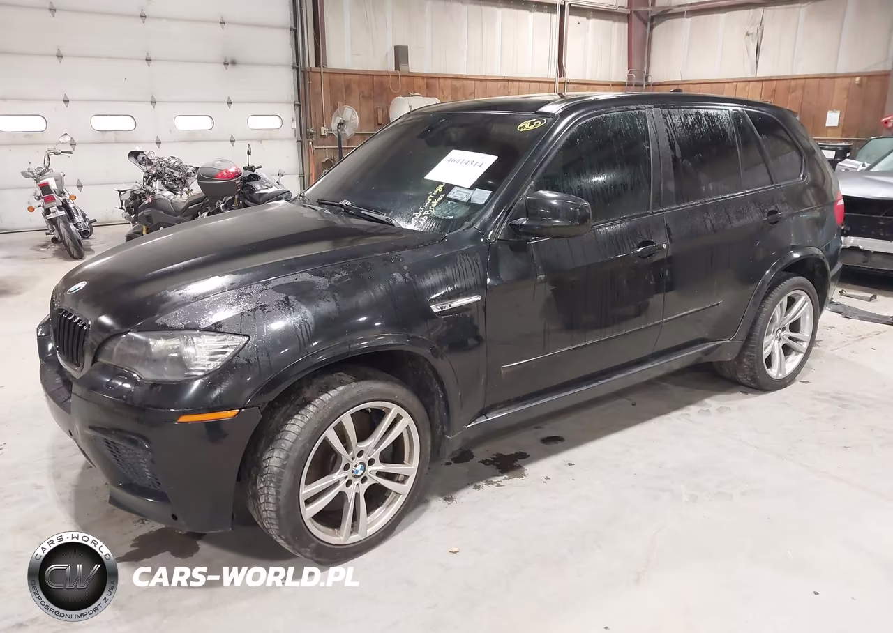 2010 BMW X5 M VIN:5YMGY0C53ALK25552 - 2