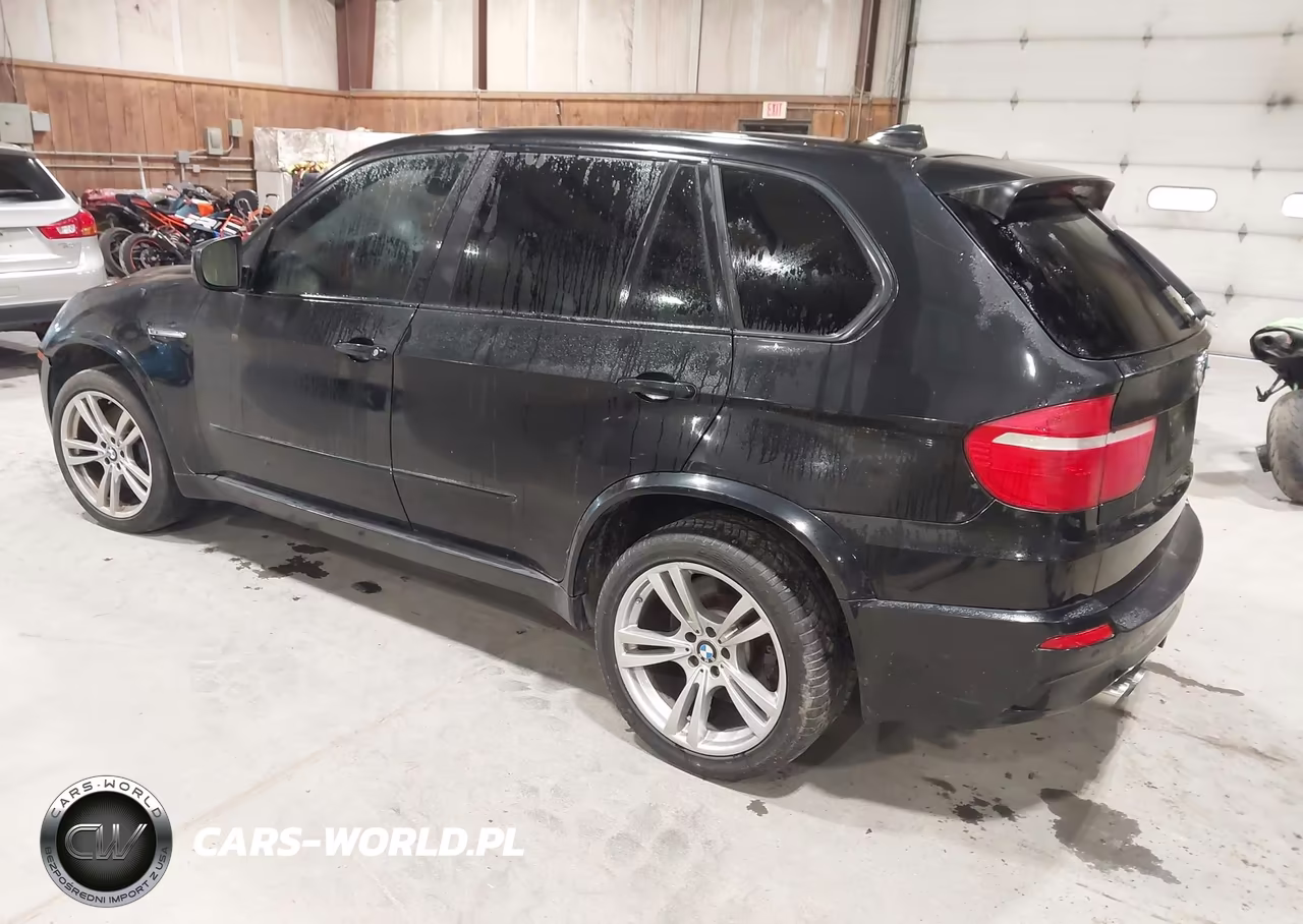 2010 BMW X5 M VIN:5YMGY0C53ALK25552 - 3