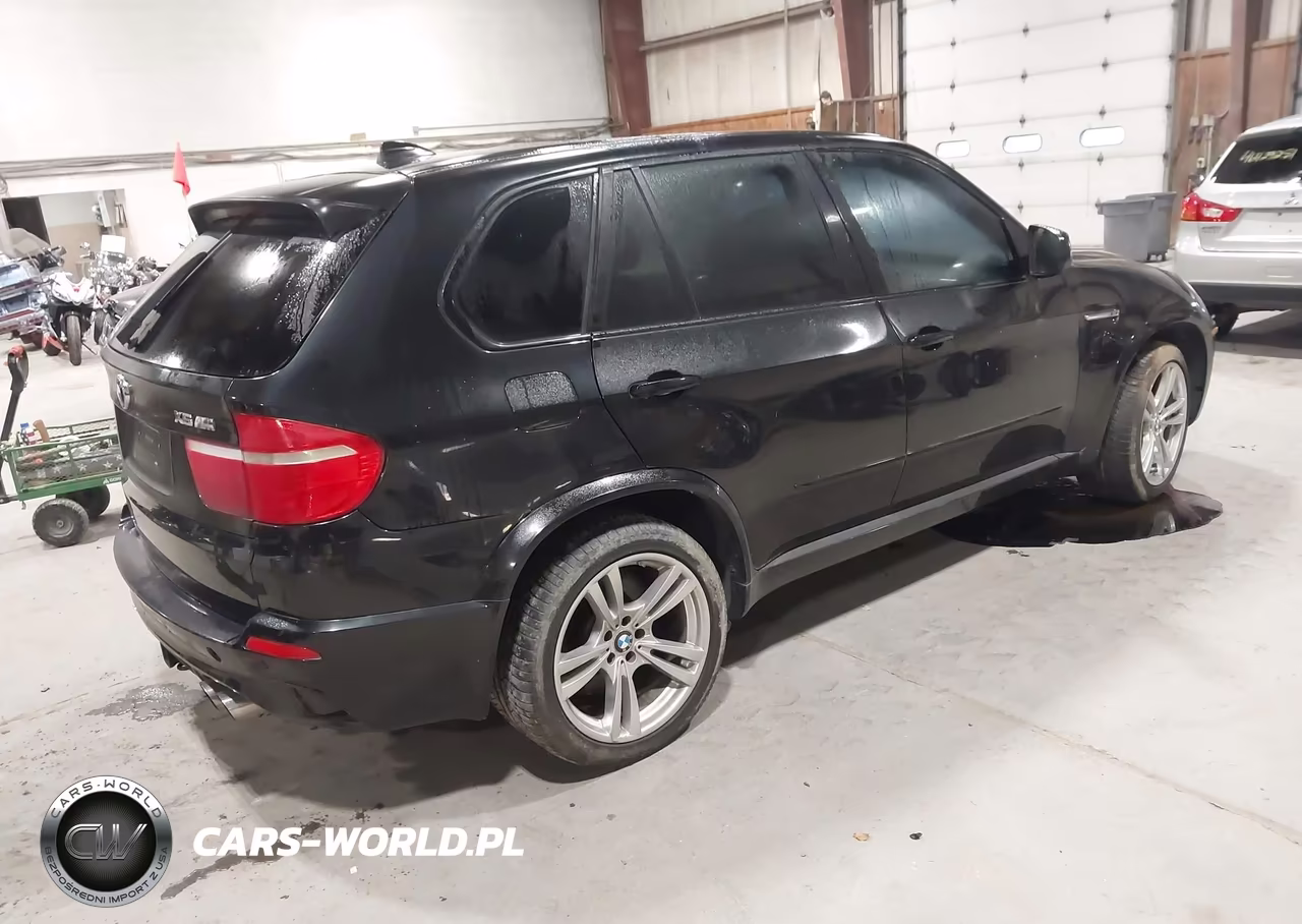 2010 BMW X5 M VIN:5YMGY0C53ALK25552 - 4