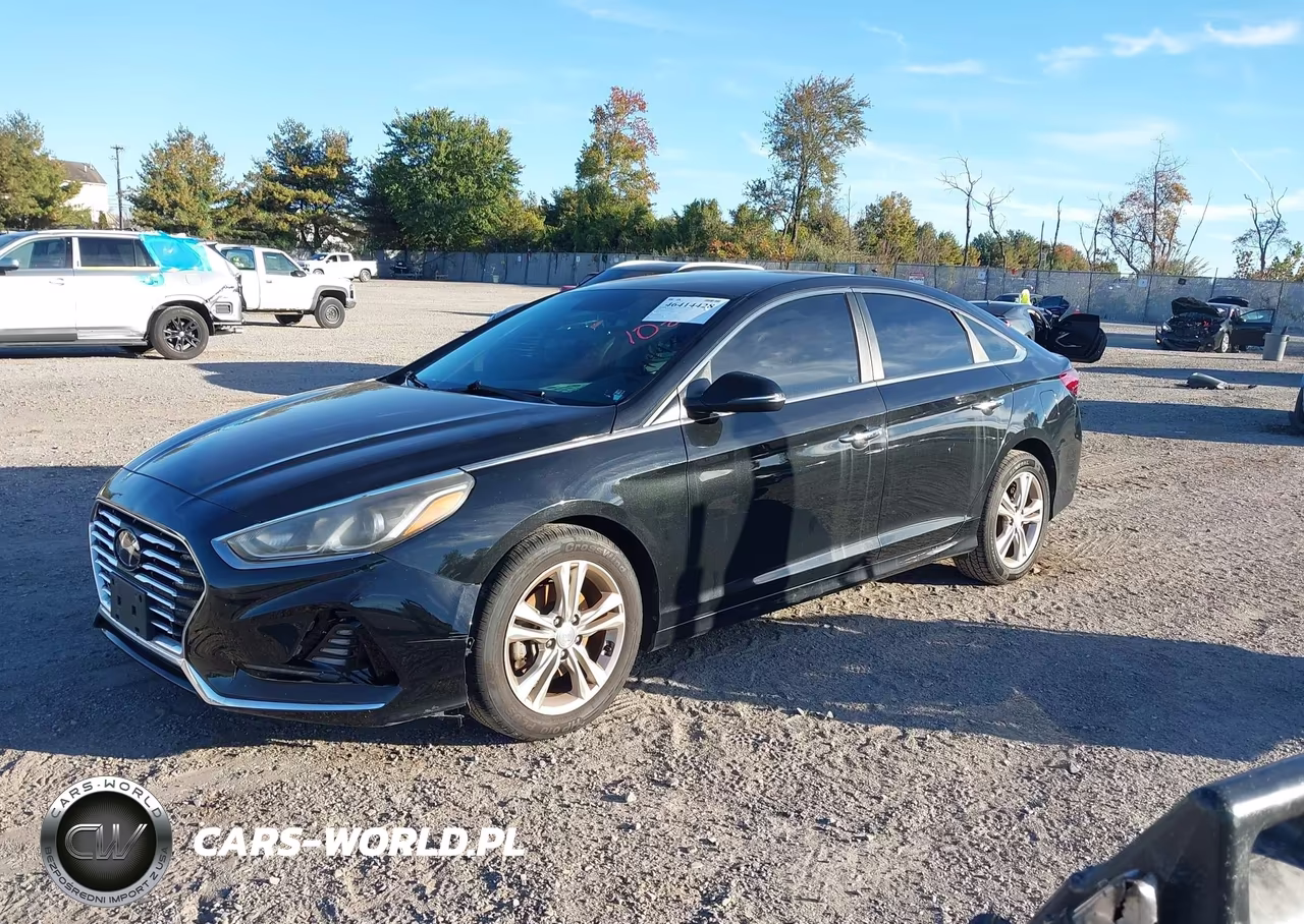 2018 Hyundai Sonata Sel VIN:5NPE34AF6JH597229 - 2