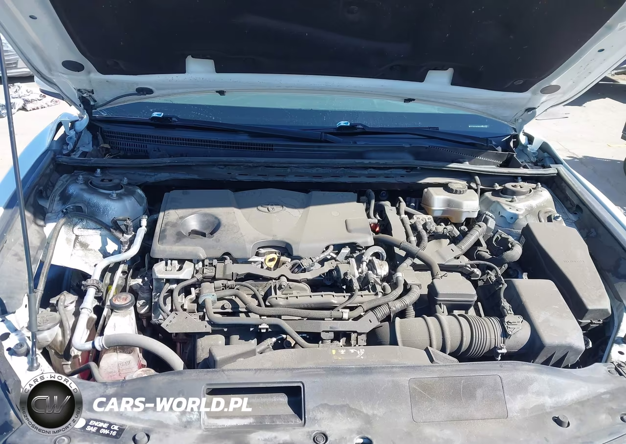 2021 Toyota Camry Se Hybrid VIN:4T1G31AK2MU025603 - 10