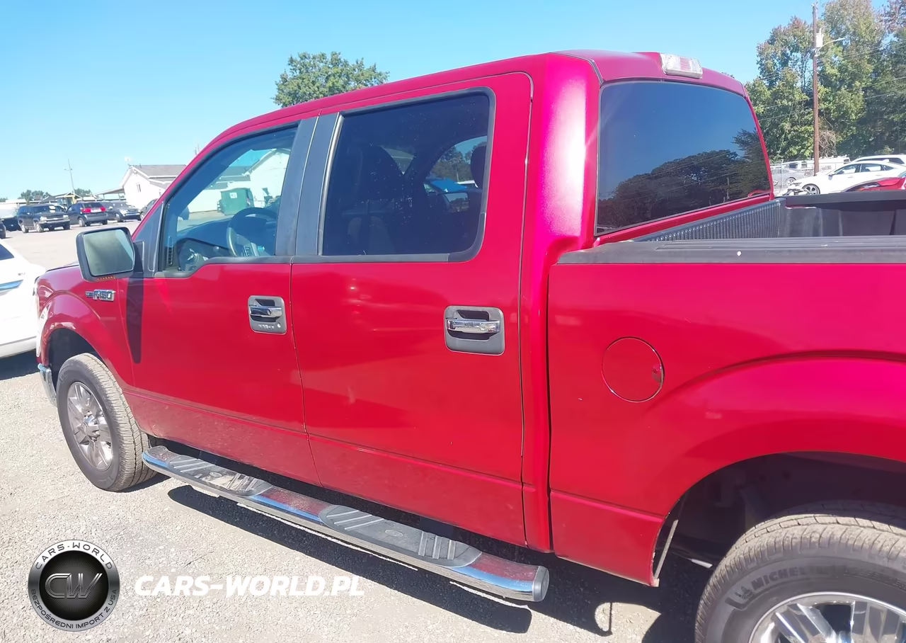 2010 Ford F-150 Fx2 Sport-Xl-Xlt VIN:1FTEW1C88AFA93960 - 14