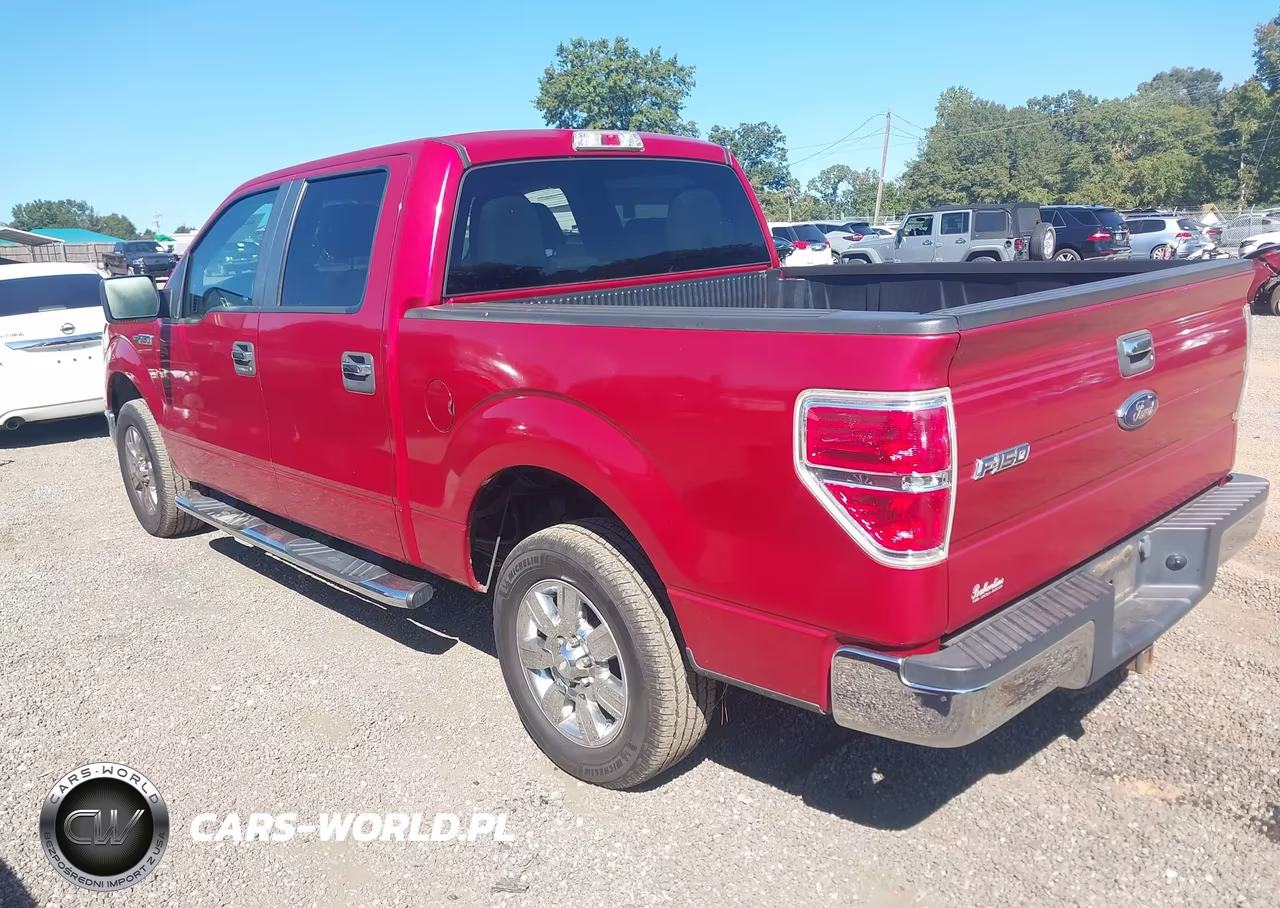 2010 Ford F-150 Fx2 Sport-Xl-Xlt VIN:1FTEW1C88AFA93960 - 3