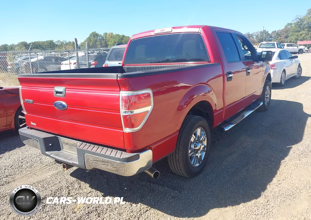2010 Ford F-150 Fx2 Sport-Xl-Xlt VIN:1FTEW1C88AFA93960 - 4