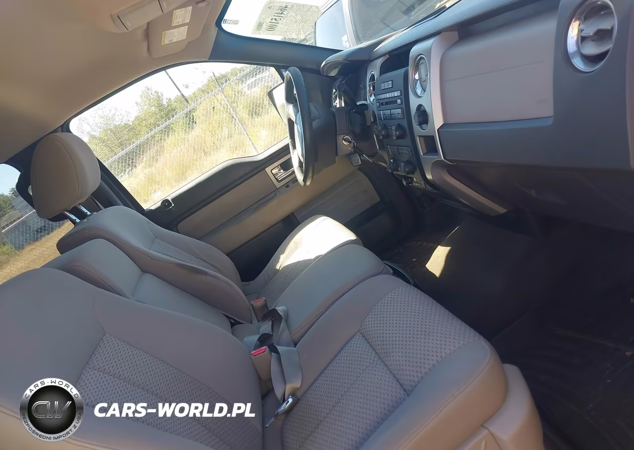 2010 Ford F-150 Fx2 Sport-Xl-Xlt VIN:1FTEW1C88AFA93960 - 5